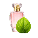 Frumusețe și sănătate