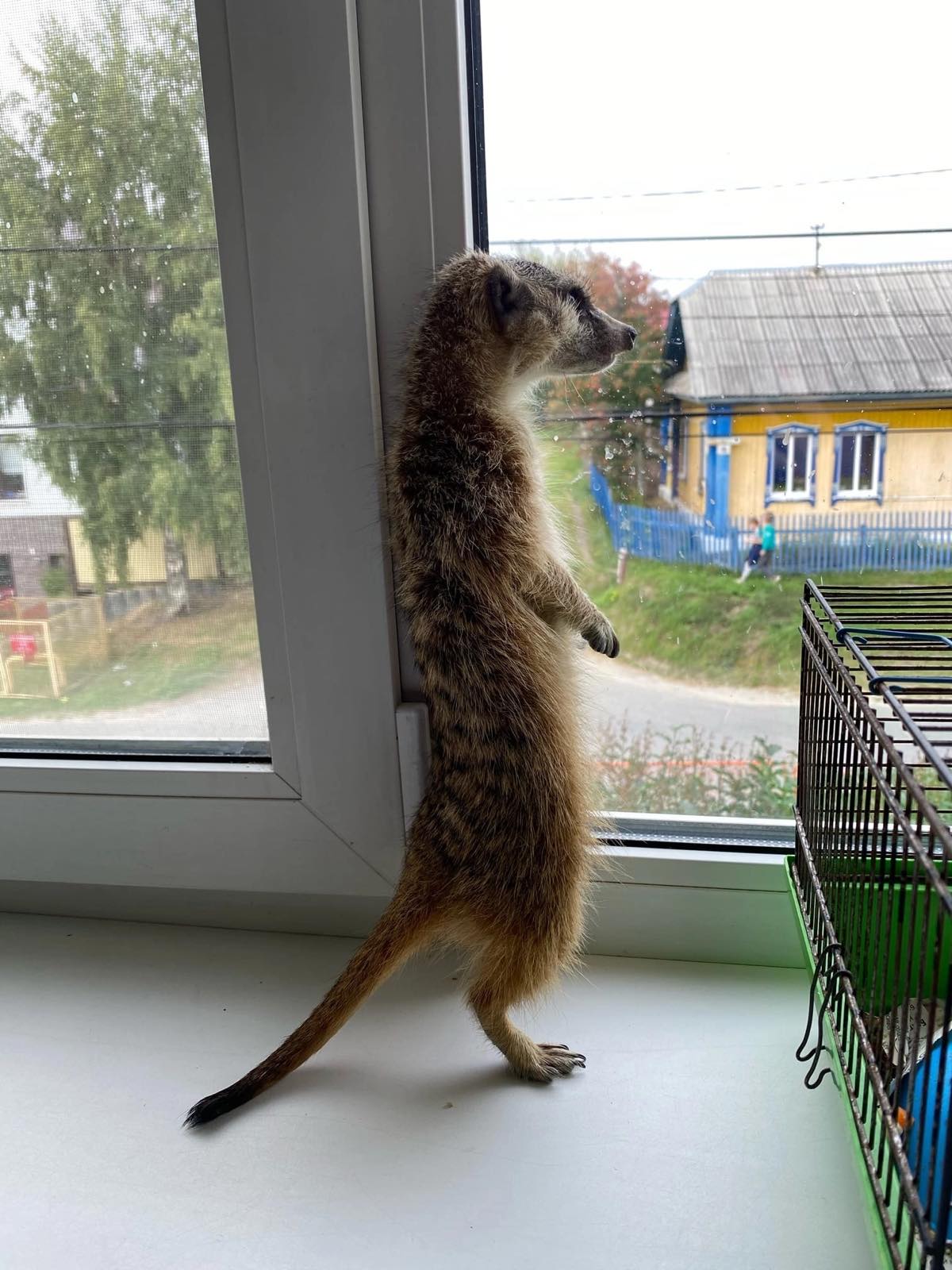 Товар