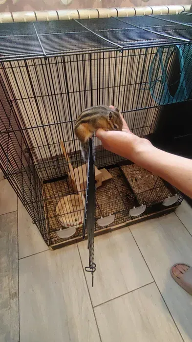 Товар