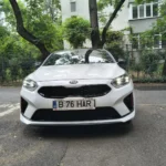 KIA Proceed 2020 Alb Perlat