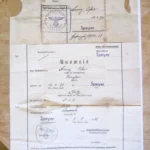 Rar! Germania nazistă,certificat militar nazist de înregistrare emis de biroul de recrutare militară din orașul Speyer în 1938