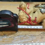 RF Reinart Faelens German Plush Teddy Bear Lederhosen Charivari w/Edelweiss Charms and Feathered Cap